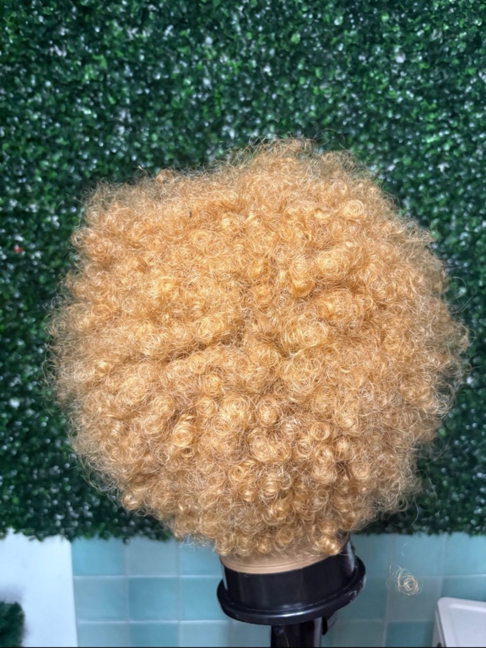 Human Afro Lace Front Wig - Black to Honey Brown summer hair - Picture 3 of 3